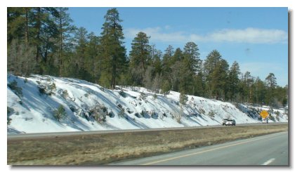 S (1)   South of Flagstaff on No17 6000 ft